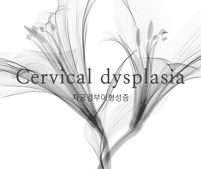 Cervical dysplasia, 자궁경부이형성증